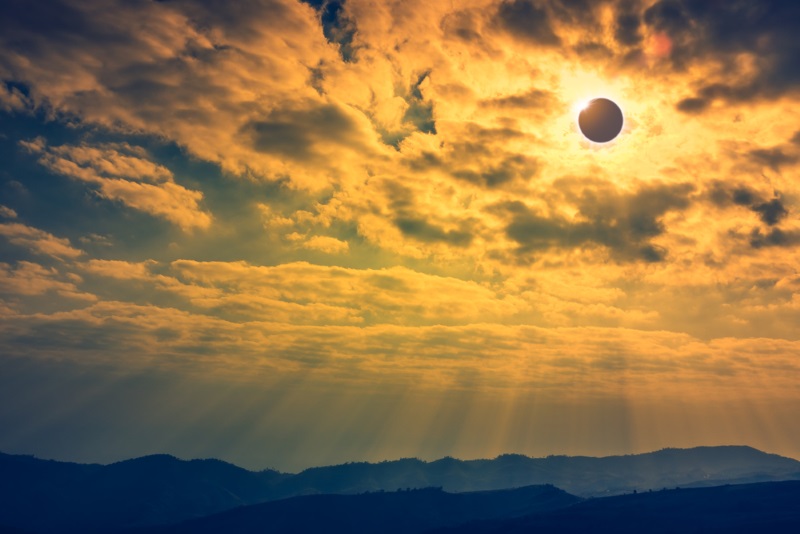 Os humanos adoram os eclipses solares, mas…como os animais reagem?