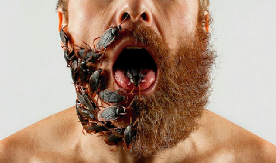 Científicos demostraron que la barba tiene tantas bacterias como un retrete!