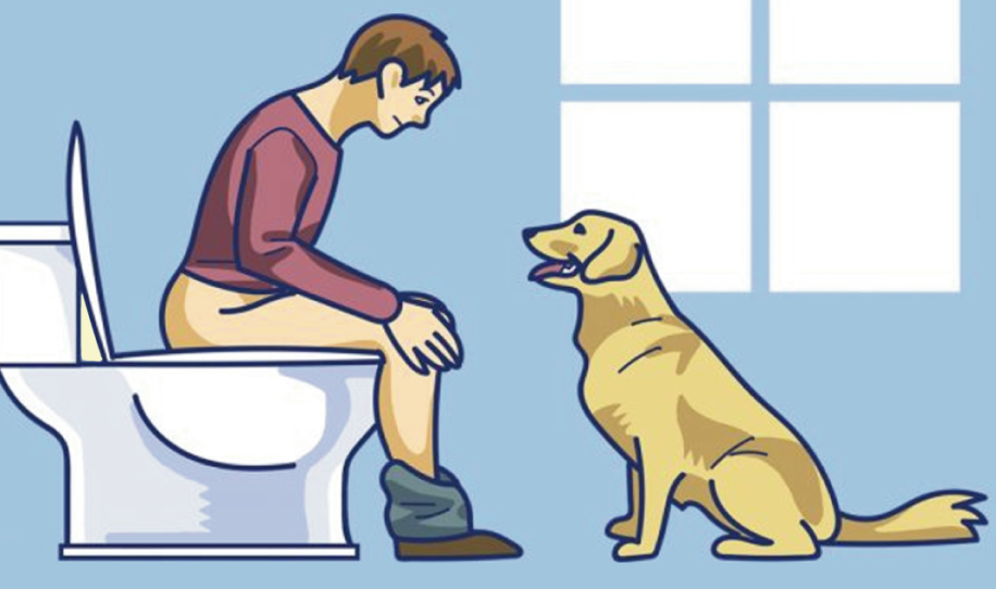 ¿Te sigue siempre tu perro al baño?… Esto es lo que intenta decirte: