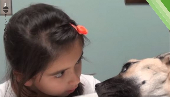 Esta niña está mirando al perro que está muriéndose a sus ojos. ¿Y qué ocurre? ¡Pues un milagro!