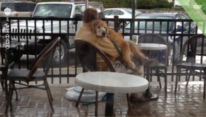 Una mujer hizo en secreto una foto a un desconocido cuál apareció en una cafetería junto con su perro. ¡Esta foto toca el corazón!