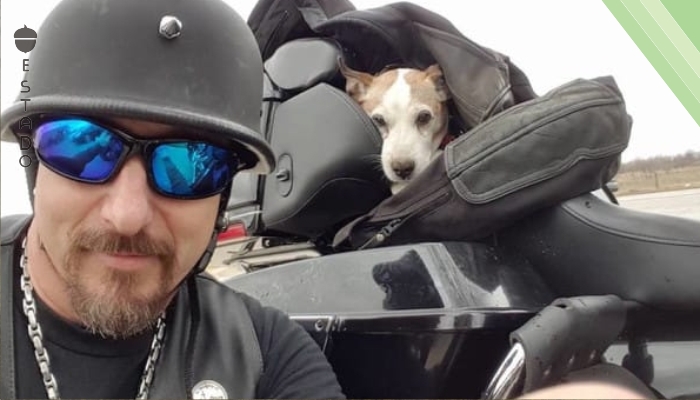 Un sádico estaba torturando a su perro en el arcén. Entonces apareció un motociclista...