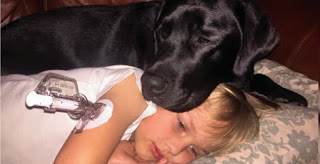 Un perro le salva la vida a un niño con diabetes mientras sus padres duermen