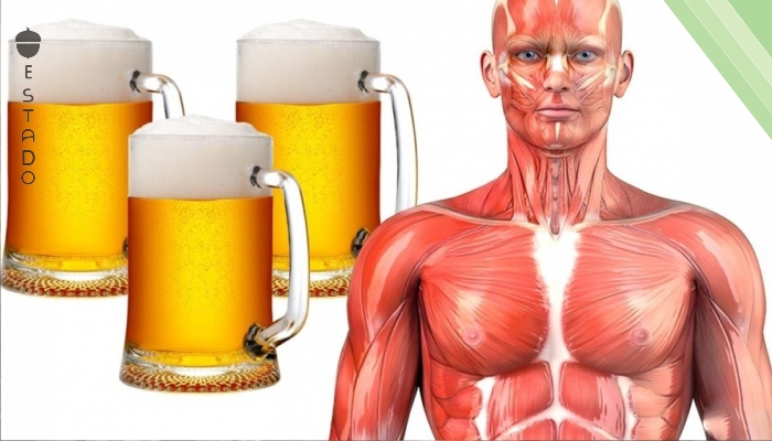 Descubrimos qué sucede con tu cuerpo si bebes cerveza a menudo