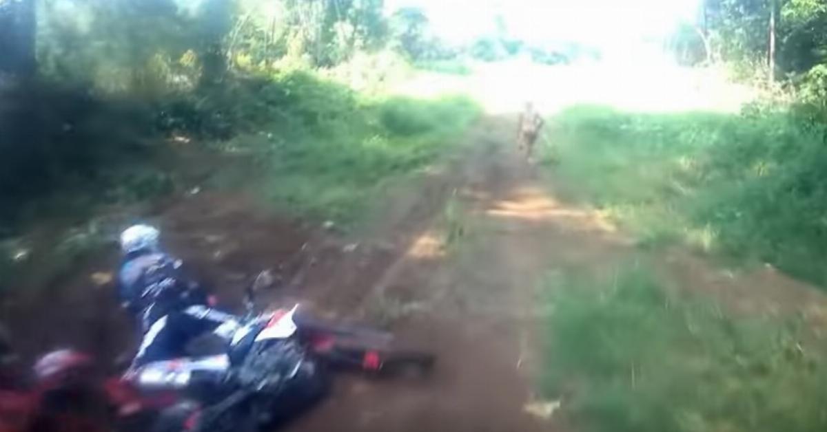 Vídeo: motociclista se cae al ver desconocida criatura en el bosque