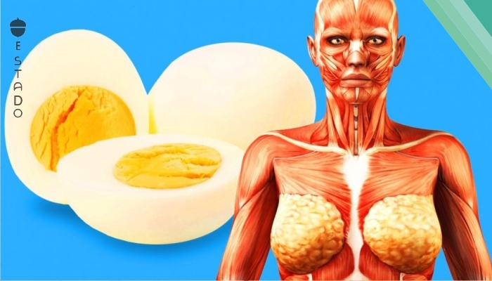 9 Cosas que pasarán con tu cuerpo si comes 2 huevos al día