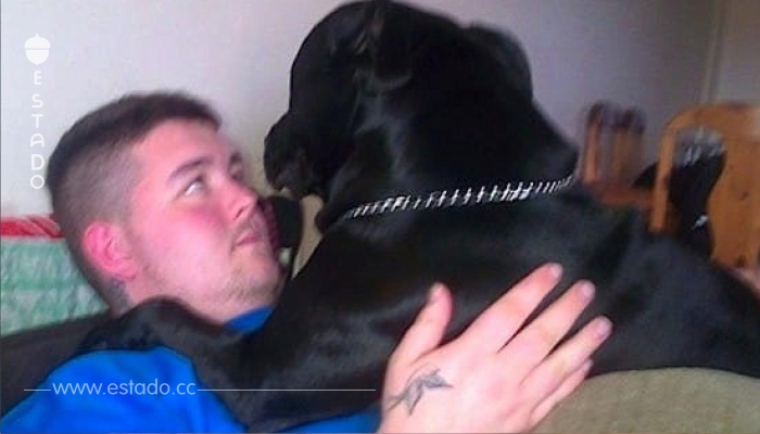 ¡Este hombre quería suicidarse, pero su perro no permitió que lo hiciera!