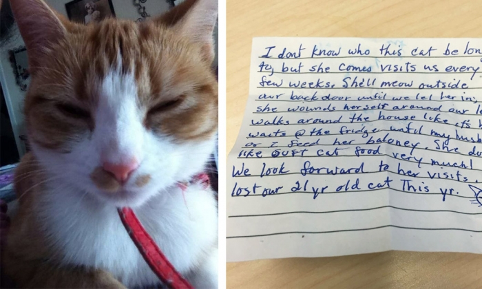 Descubre que su gata tiene una doble vida gracias a la nota de un vecino