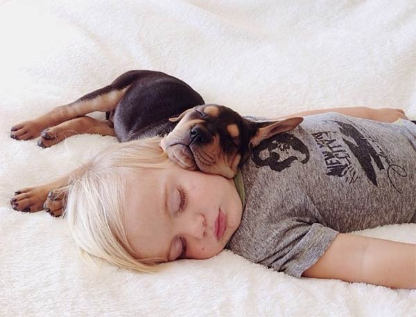 5 consecuencias a las que te arriesgas si acostumbras a dormir con tu perro