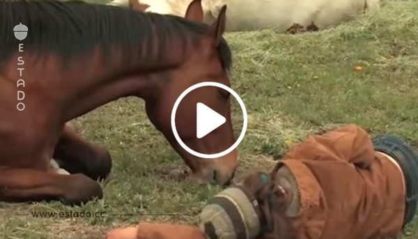 Las emotivas imágenes que demuestran lo que los caballos pueden hacer por nosotros