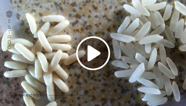 4 trucos para identificar el tóxico arroz de plástico	