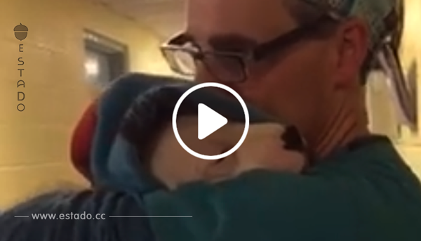 Una perrita se despertó después de la operación, entonces su veterinario hizo algo bellísimo.