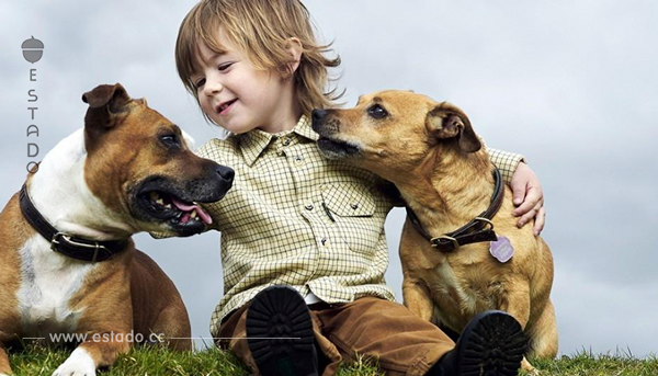 Niños que conviven con animales de compañía tienen menos problemas de salud