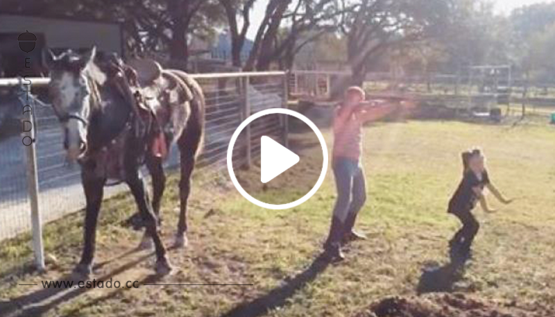 Dos niñas empiezan a bailar, pero fíjaos en su caballo. ¡Opacó a ambas chiquillas de la manera más graciosa!