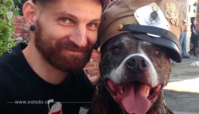 Un veterano rescató a un pit bull, y el perro le devolvió el favor