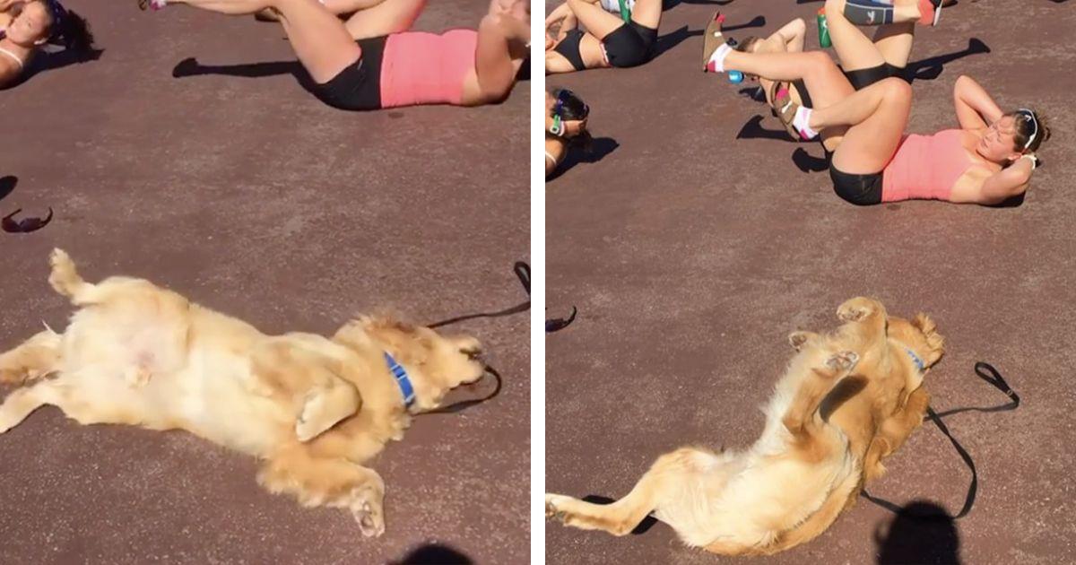 Un perro se cuela en una clase de gimnasia y decide integrarse