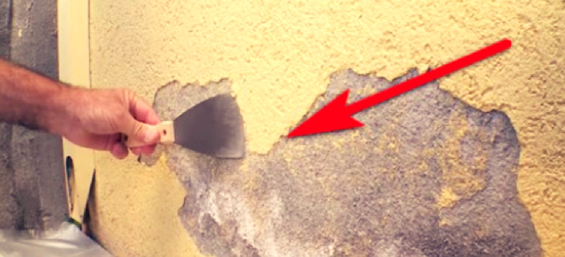 Aprende a eliminar la humedad de tus paredes en tan solo 5 Pasos