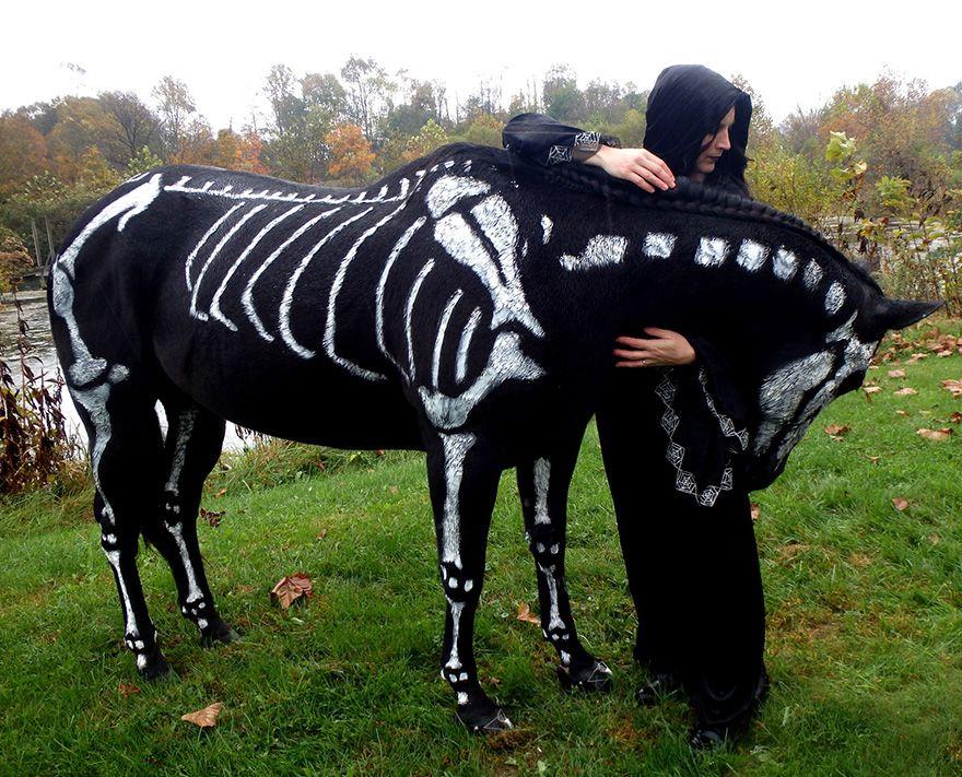 Ideas originales para disfrazar a tus animales en Halloween de una diferente