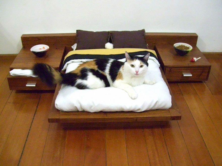 20 grandes diseños para que tu gato termine de hacerse con tu casa   Casas Increibles