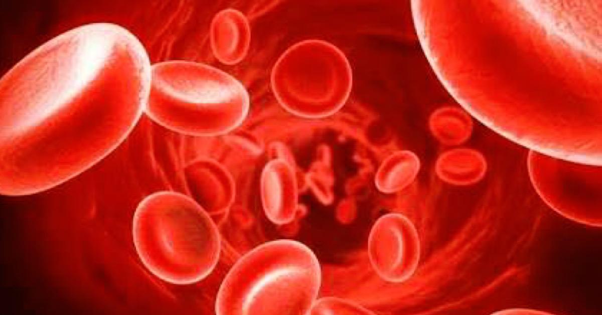 10 características de las personas de cada grupo sanguíneo