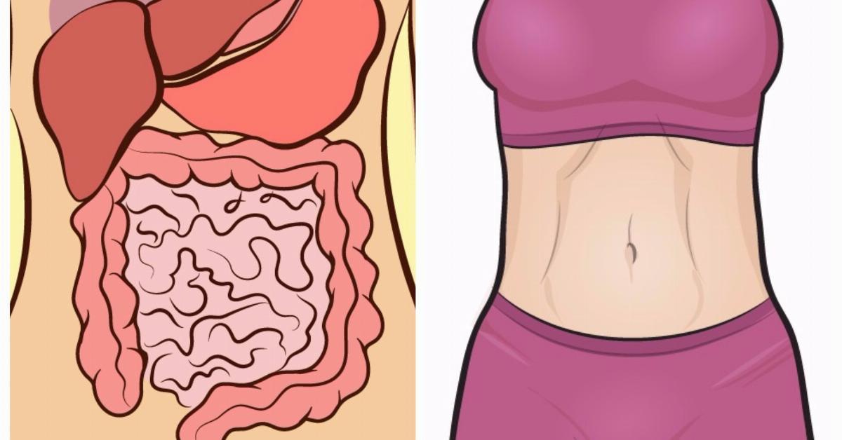 Por fin puedes perder peso gracias a la reprogramación del intestino