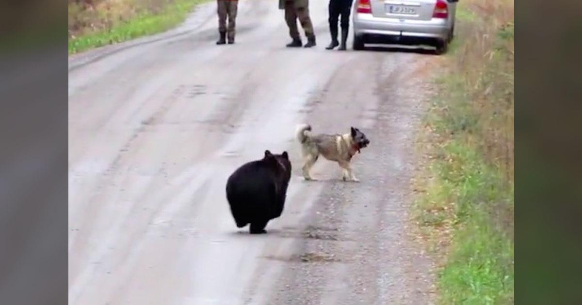 3 hombres están perplejos cuando perro sale del bosque persiguiendo un oso bebé