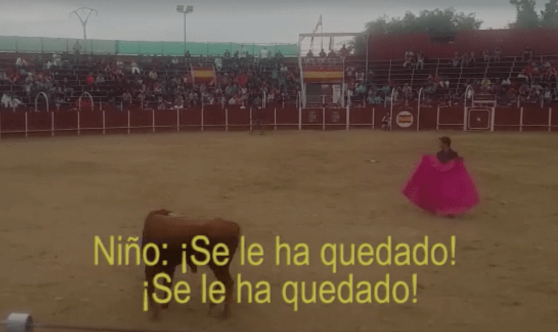 Reacción de un niño viendo una corrida de toros y cómo una mujer acaba con su empatía • La nube de algodón