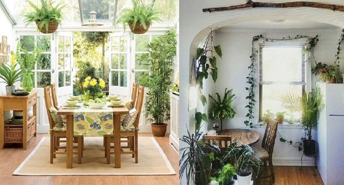 8 plantas para decorar la cocina que darán energía y productividad