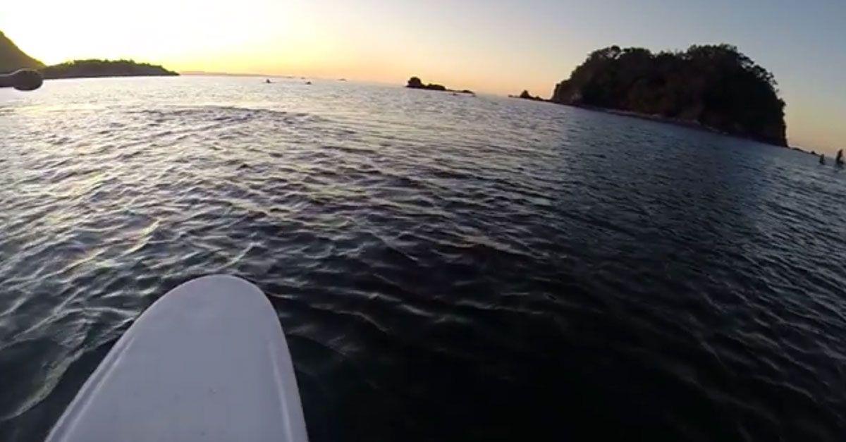 Un surfista introduce la cámara en el agua y descubre un ballena