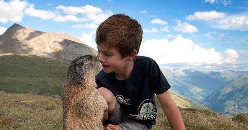 Matteo, un niño de doce años amigo de las marmotas   La nube de algodón
