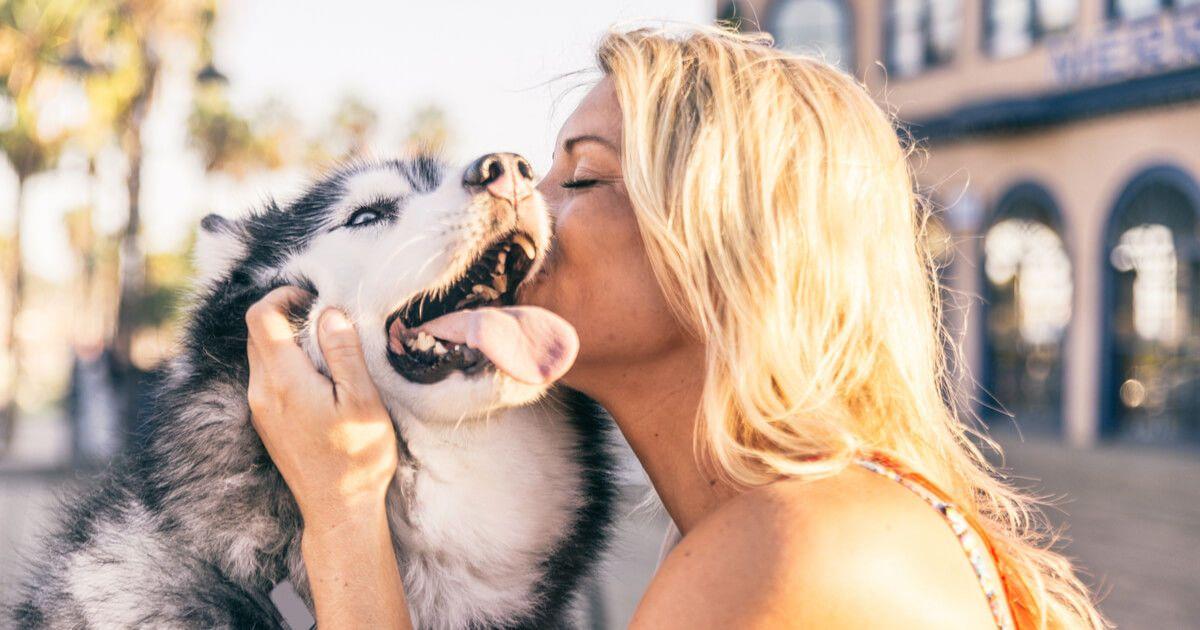 Día del perro: 10 cosas que agradecerle a tu perro porque solo él te quiere de manera incondicional