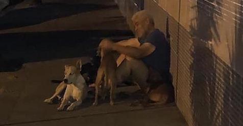 Luiz un hombre vagabundo fue ingresado y sus perros no pudieron separarse del hospital