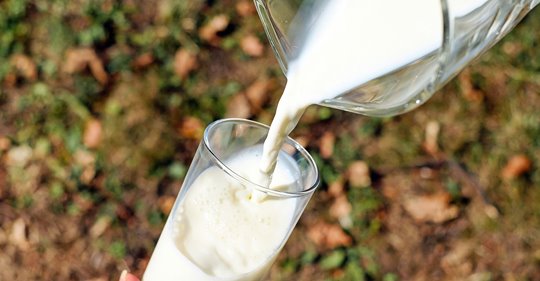 8 mitos sobre el consumo de lácteos