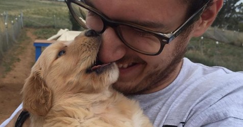 Mortales besos de perros: cómo prevenirlos