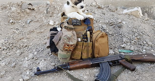 Un soldado especialista en desactivar bombas escuchó entre los escombros unos leves gemidos de un cachorrito…
