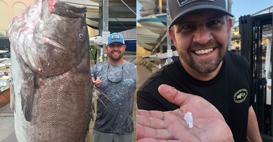 Hombre atrapó un extraño pez de casi 160 kilos sin saber que era una especie amenazada