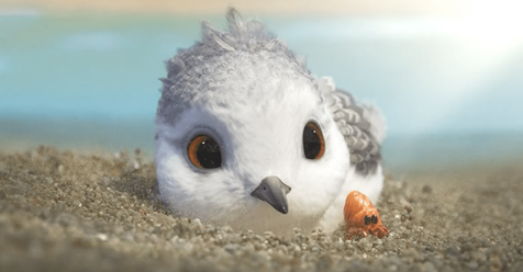 Piper, el precioso corto de Pixar que sorprende por su originalidad y ternura