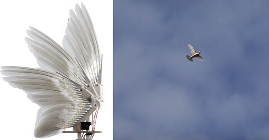 Los pájaros robots hechos con plumas reales que vuelvan como pájaros de verdad