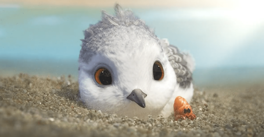 Piper, el precioso corto de Pixar que sorprende por su originalidad y ternura