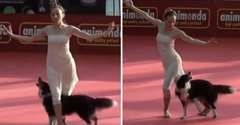 Mujer y su perro realizan una deslumbrante coreografía frente al público