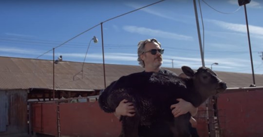 Joaquin Phoenix evitó que una vaca y su cría fueran sacrificados