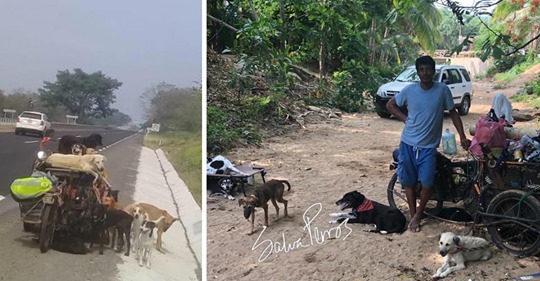 El hombre que está recorriendo México montado en un triciclo mientras va salvando perros