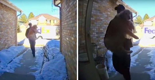 Repartidor de FedEx entrega perro perdido en la casa de su familia luego de que huyera