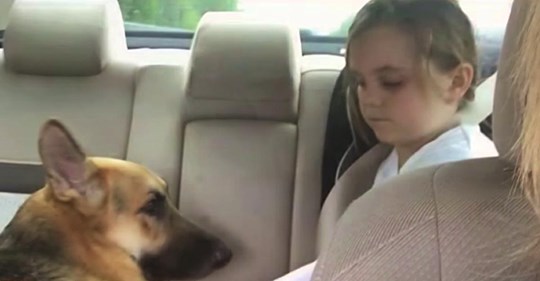 Padre quedó sorprendido cuando el perro se lanzó sobre su hija, luego descubrió que se estaba sacrificando para salvarla
