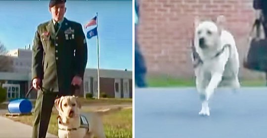 Un hombre visita la prisión con un perro de asistencia, pero el perro sale corriendo hacia la reclusa