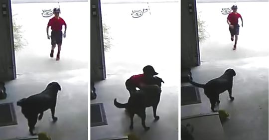 Una mujer se da cuenta de que un chico desconocido entra a hurtadillas en su garaje para robarle un abrazo a su labrador