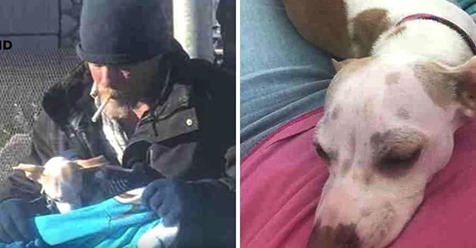 Le tomó una foto a un hombre sin hogar que cuidaba a un perro abandonado, y regresa con casi 7.000 dólares