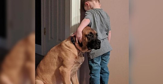 Un niño pequeño es puesto en penitencia, y su leal perro decide acompañarlo
