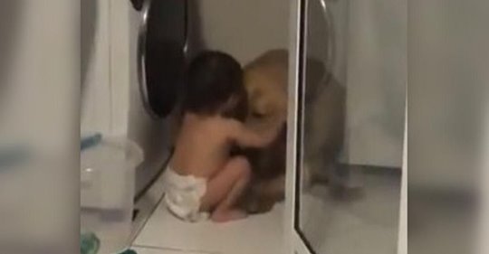 Un niñito consuela a su perro durante una tormenta eléctrica