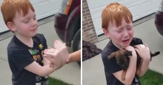 Un niño ahorró durante 18 meses para comprar un perrito, y sus abuelos le dieron la más hermosa de las sorpresas